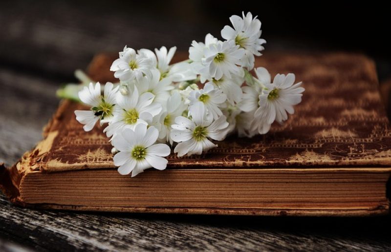 Printemps & couvertures